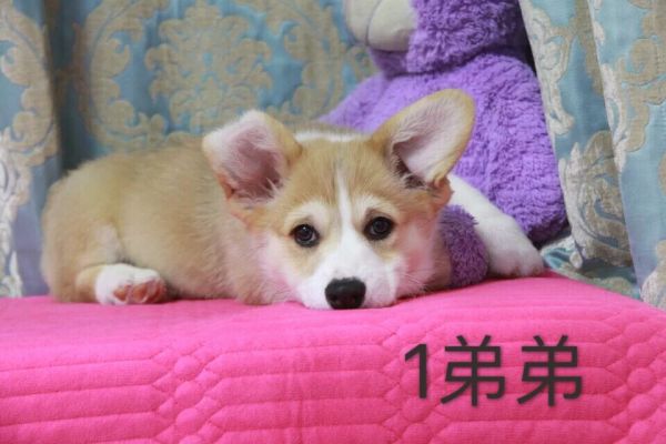 QQ图片20170227191356.jpg