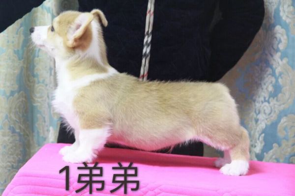 QQ图片20170227191257.jpg