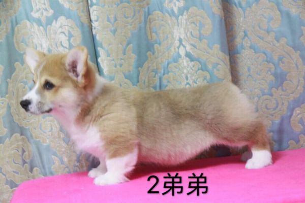 QQ图片20170227191328.jpg