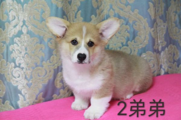 QQ图片20170227191306.jpg