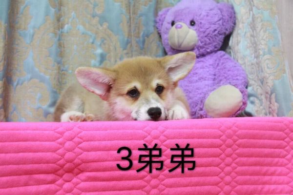 QQ图片20170227191321.jpg