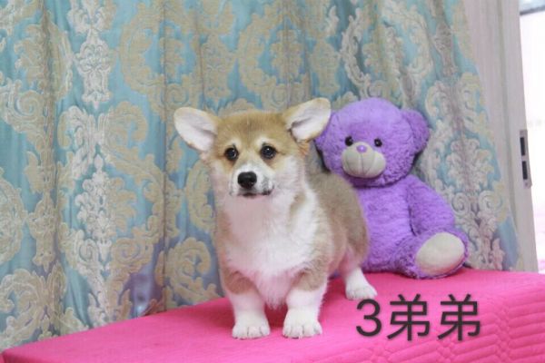 QQ图片20170227191335.jpg
