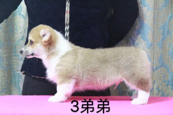 QQ图片20170227191313.jpg