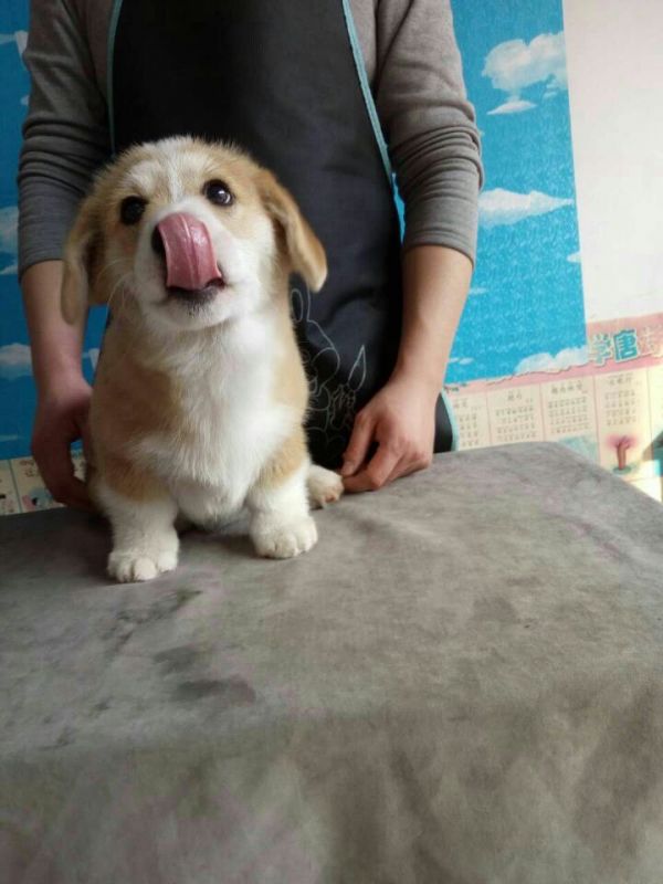 QQ图片20170227195419.jpg