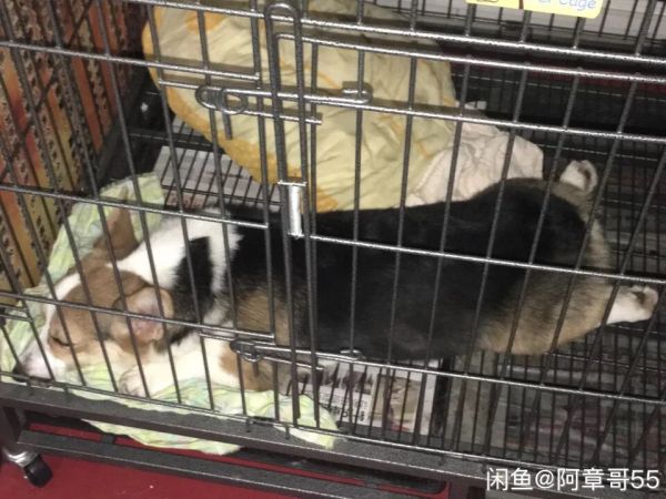 QQ图片20170227172621.jpg