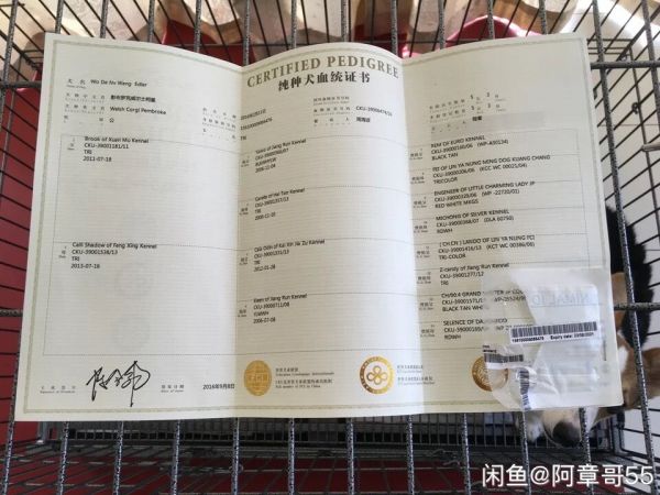 QQ图片20170227172637.jpg