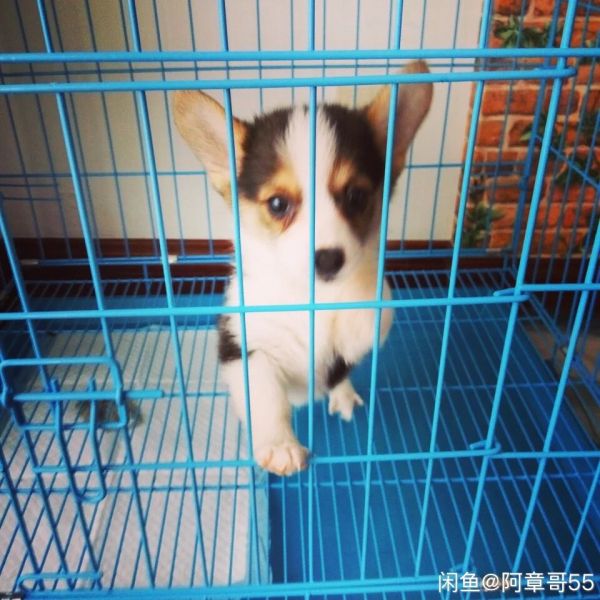 QQ图片20170227172605.jpg