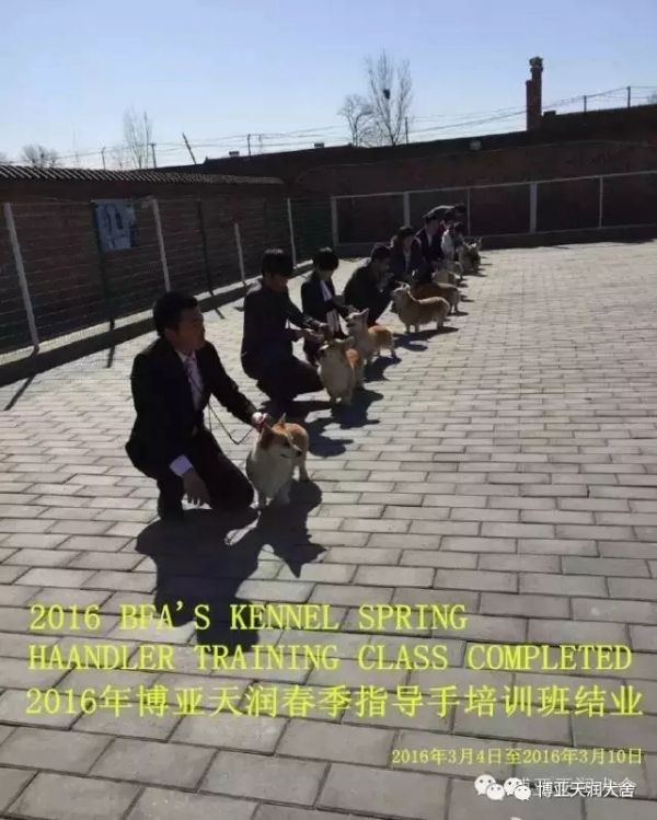 8.webp_副本.jpg