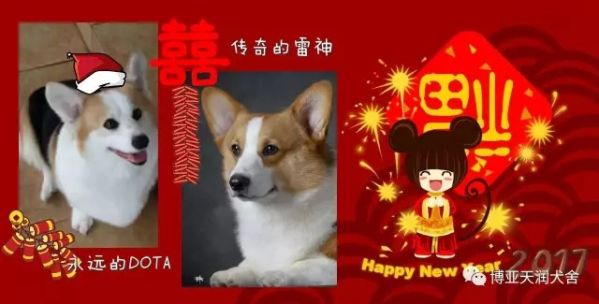 11.webp_副本.jpg