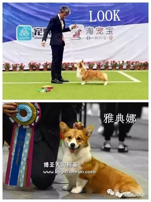 13.webp_副本.jpg
