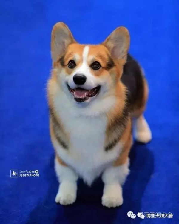 2.webp_副本.jpg