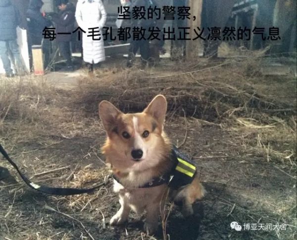3.webp_副本.jpg