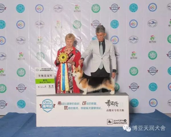6.webp_副本.jpg