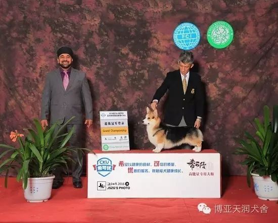 9.webp_副本.jpg