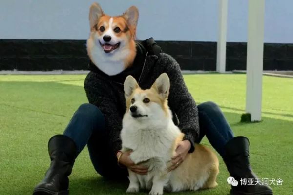 13.webp_副本.jpg