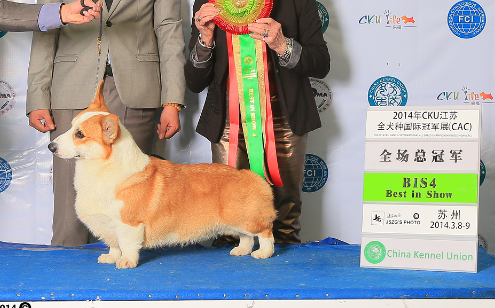QQ截图20140430153547.png