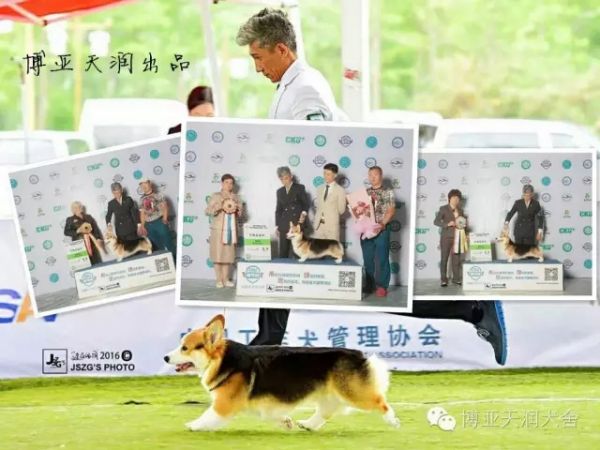 4.webp_副本.jpg