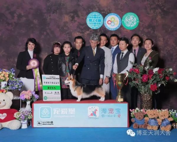 8.webp_副本.jpg