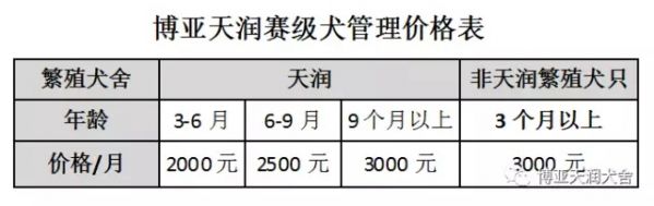 10.webp_副本.jpg