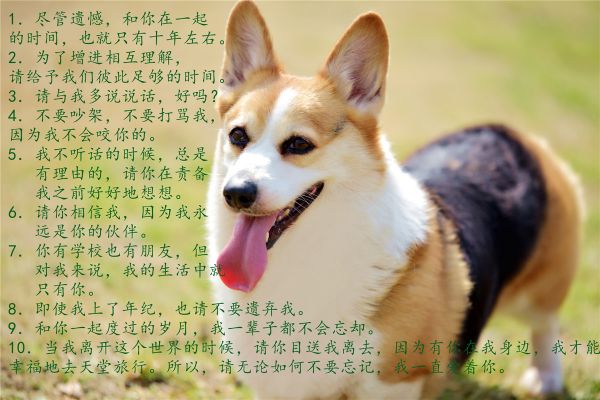 IMG_9996_副本.jpg