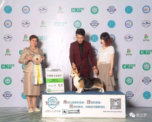 image.jpeg