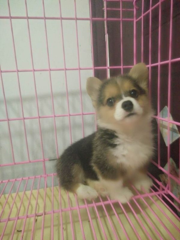 webwxgetmsgimg (1).jpg