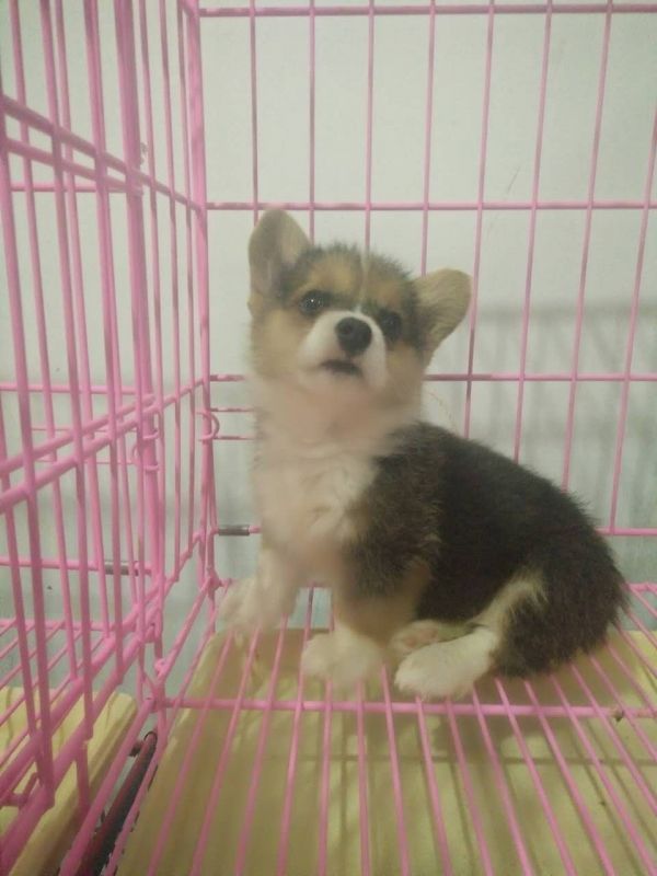 webwxgetmsgimg (6).jpg