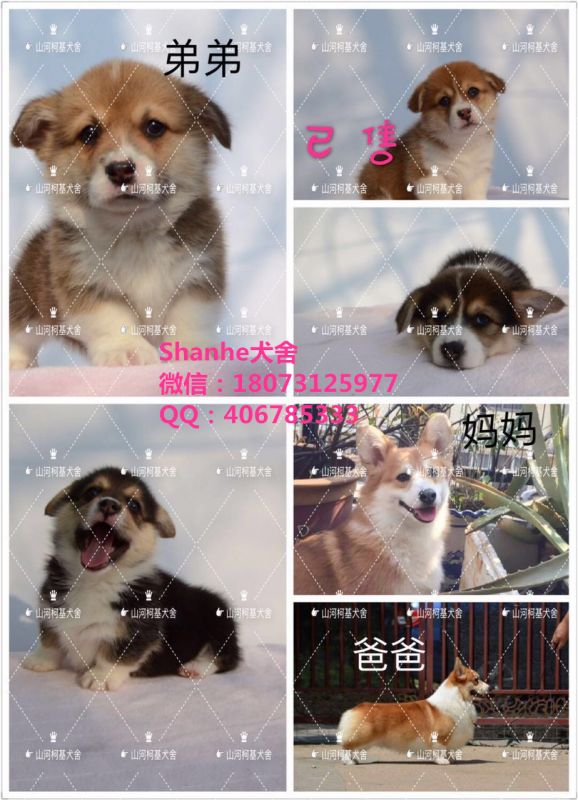 597294106022447792_副本.jpg