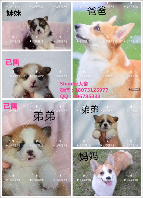 624401861996312194_副本.jpg
