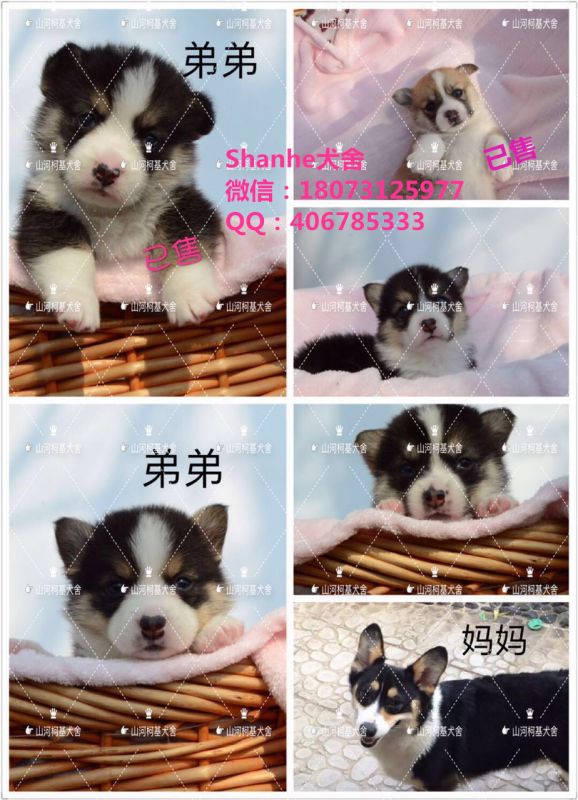 241071812056113176_副本.jpg