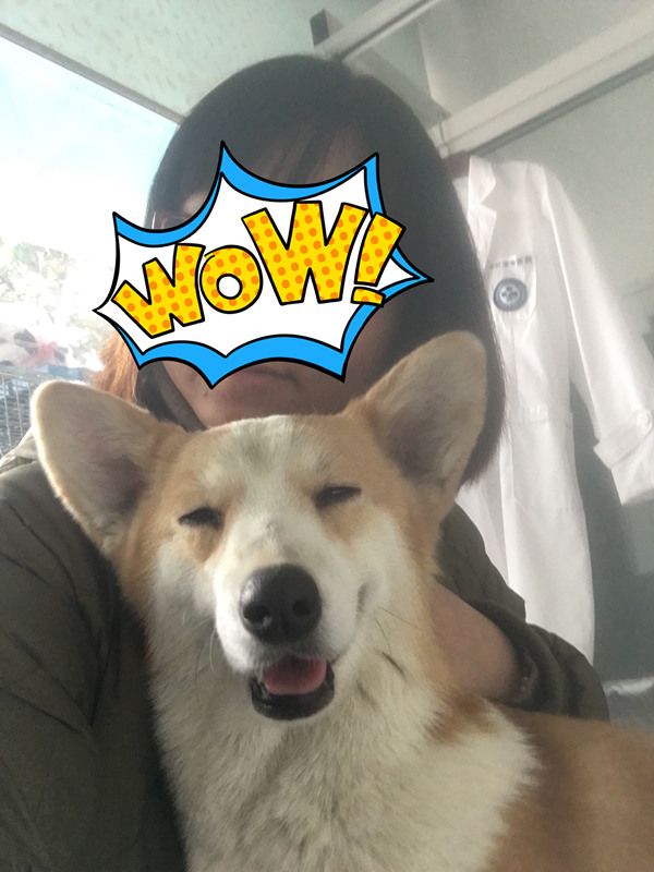 IMG_1937.JPG