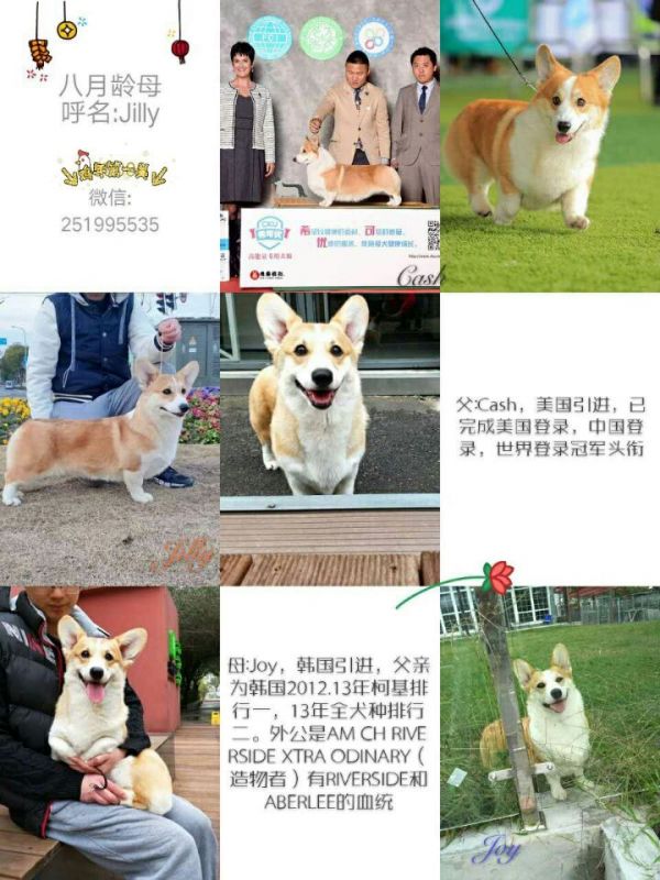 QQ图片20170316145416.jpg
