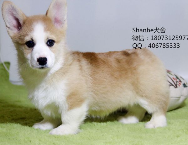 366391812246293947_副本.jpg
