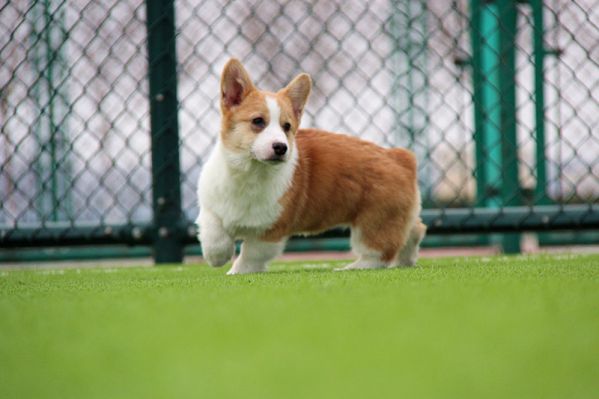 IMG_0788_副本.jpg