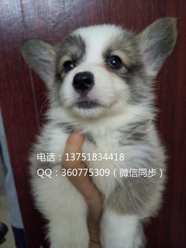 小母照2.jpg