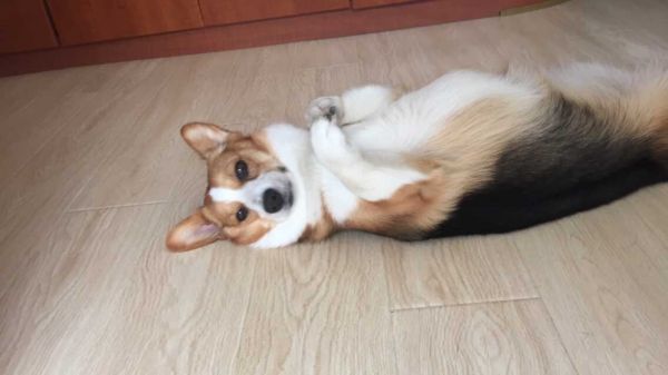 QQ图片20150612123229.jpg