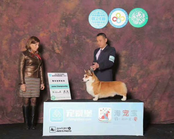 QQ图片20170323154408.jpg