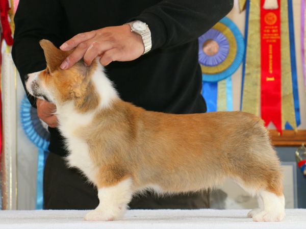 公二2_副本.jpg