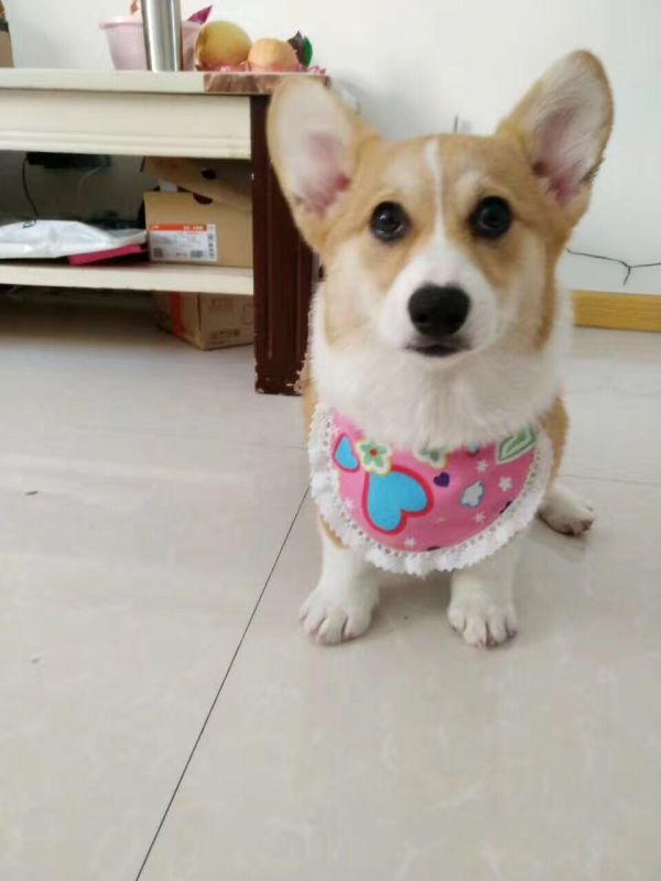 微信图片_20170326221235.jpg