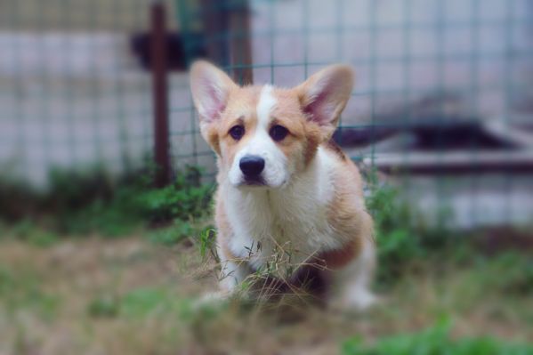 IMG_1440_副本.jpg