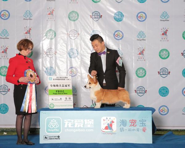 JS062897-2000_副本.jpg