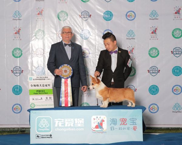 JS063037-2000_副本.jpg