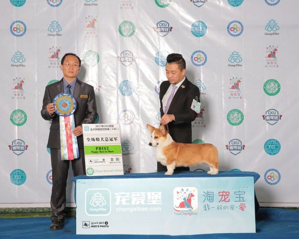 JS065918-2000_副本.jpg