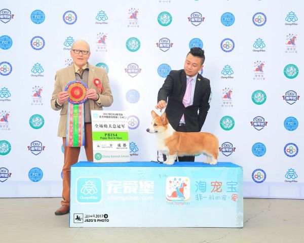 JS033541-2000_副本.jpg