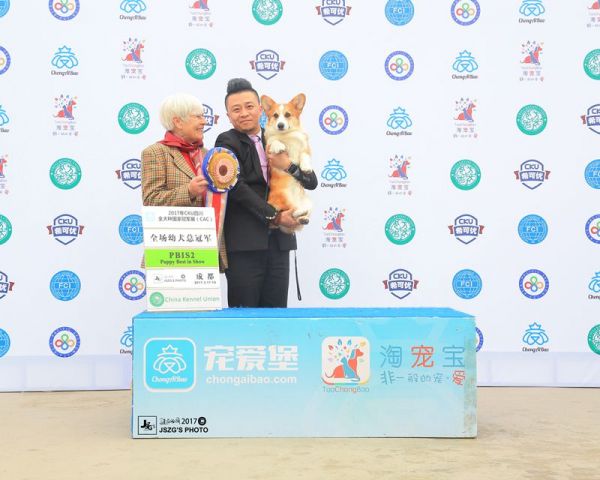 JS033978-2000_副本.jpg