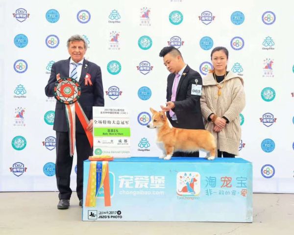 微信图片_20170328001942.jpg