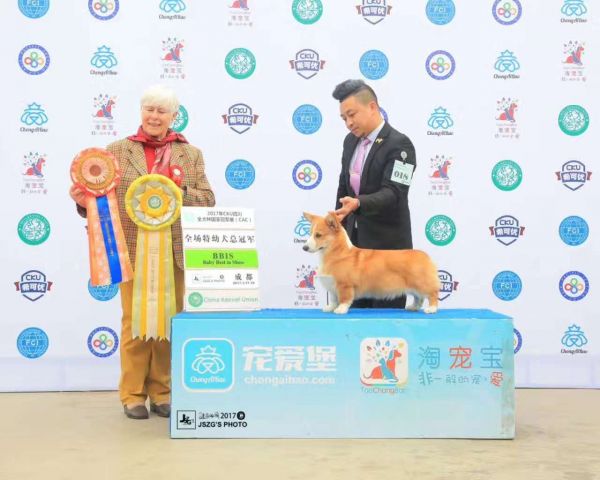 微信图片_20170328002017.jpg