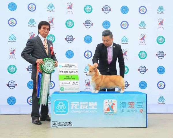 微信图片_20170328002023.jpg