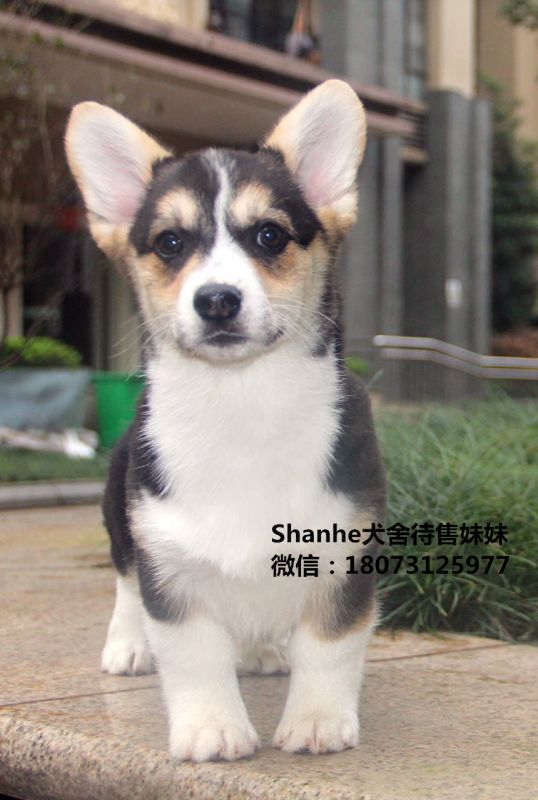 微信图片_20170330085823_副本.jpg