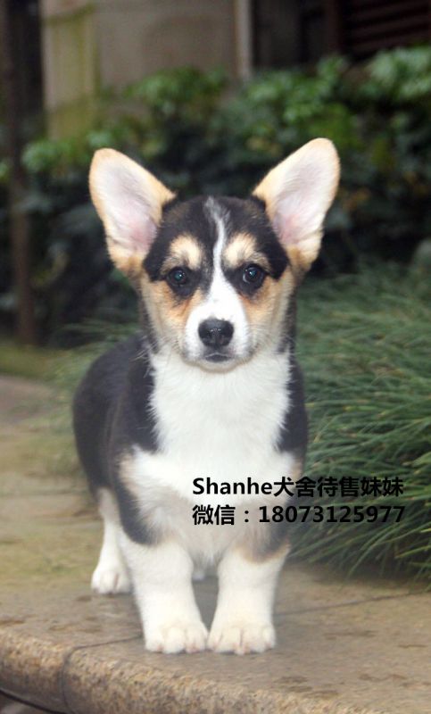 微信图片_20170330085835_副本.jpg